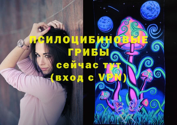 spice Алексин