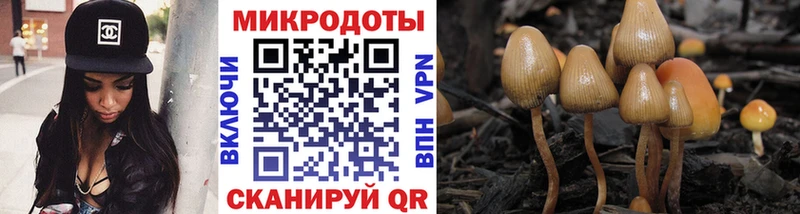 Галлюциногенные грибы MAGIC MUSHROOMS  Аргун 
